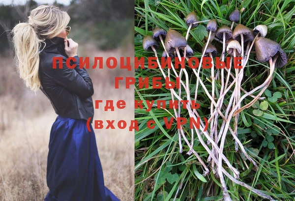 спиды Абаза