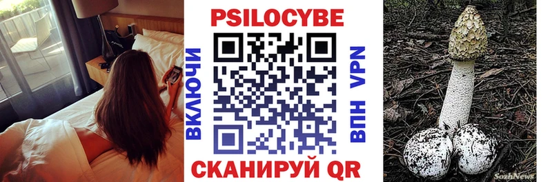 как найти наркотики  Чекалин  Псилоцибиновые грибы прущие грибы 